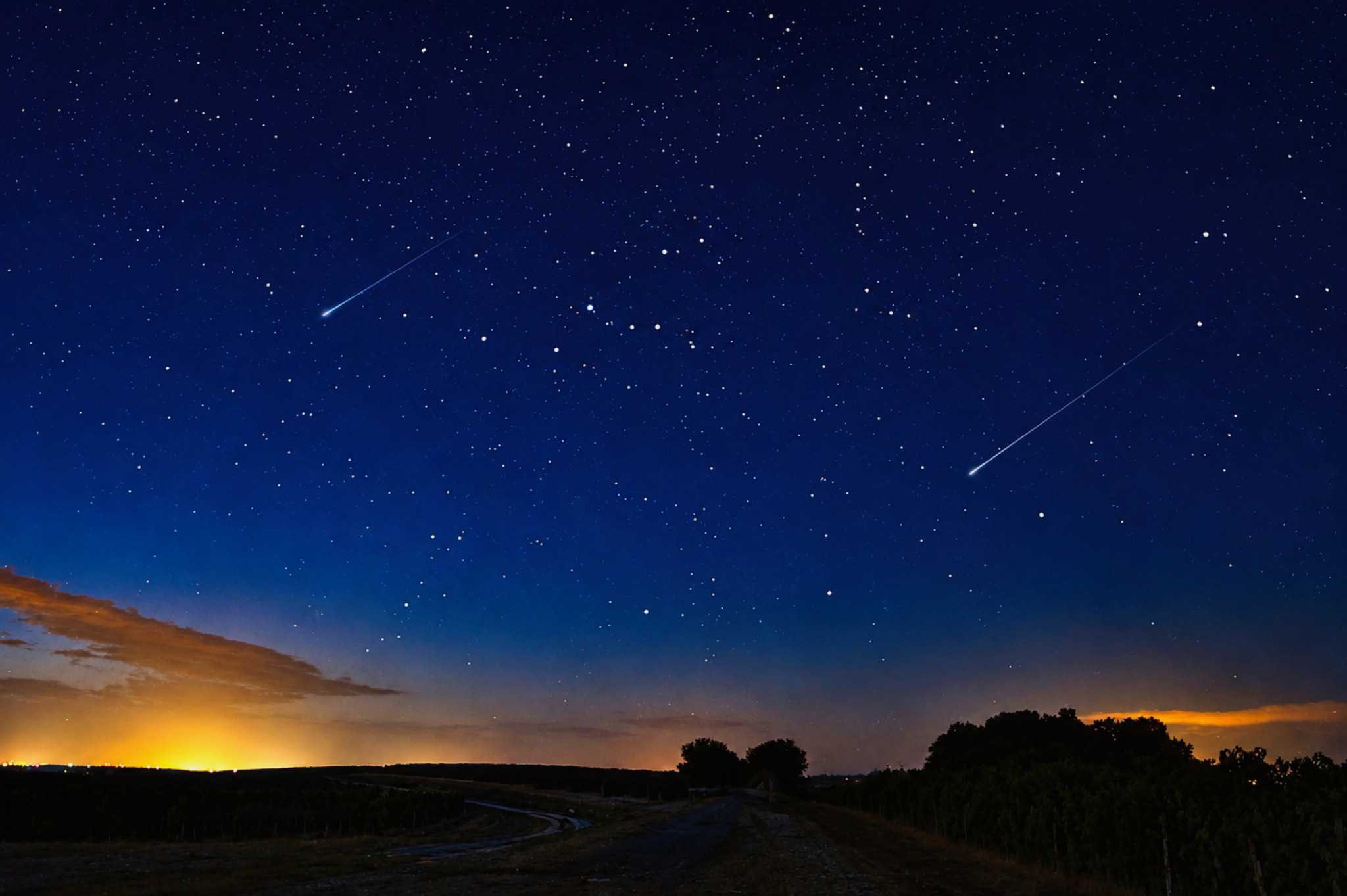 Chemin sous un ciel étoilé