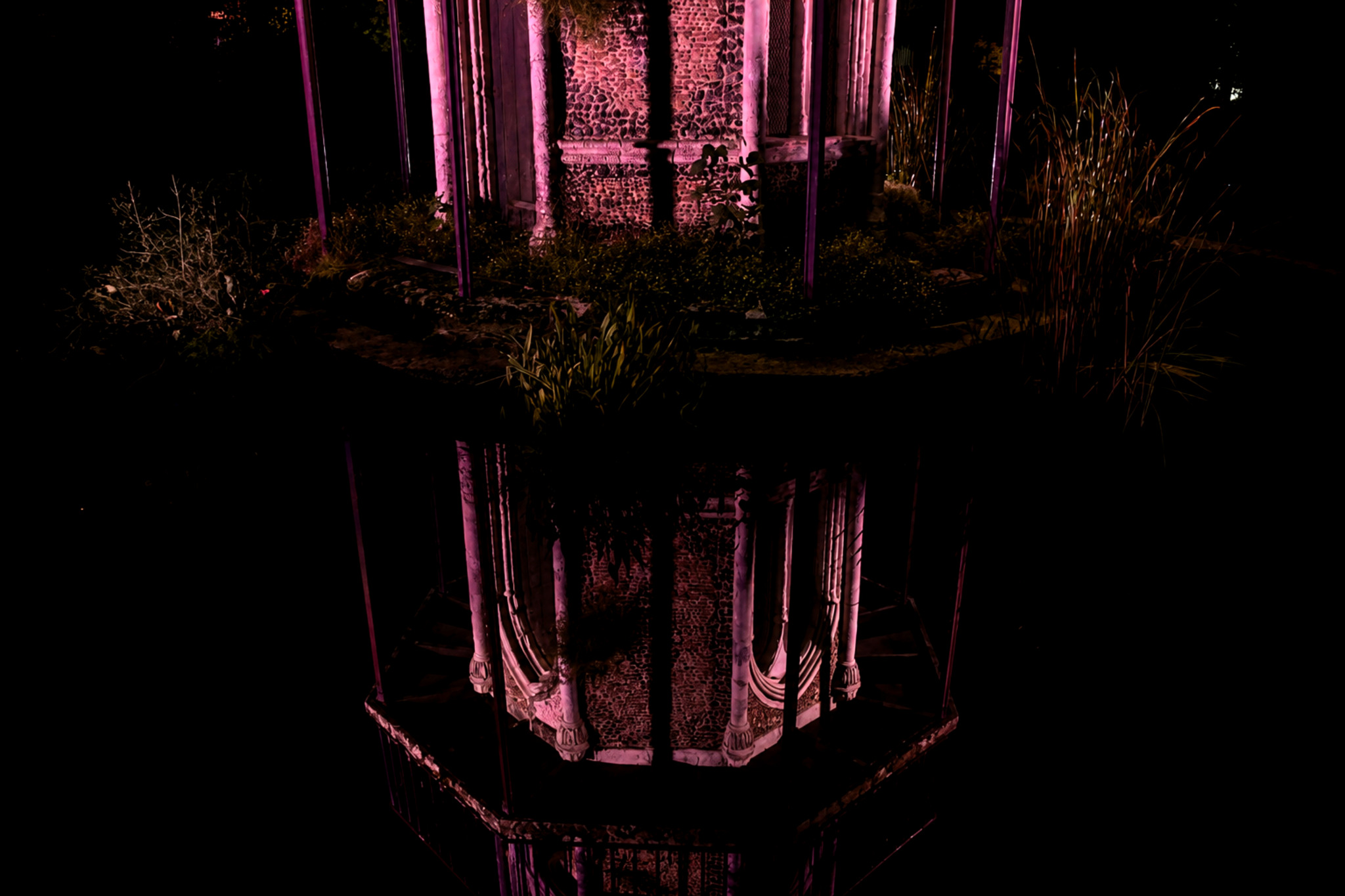 Reflet nocturne de la tour gothique du jardin public de Cognac