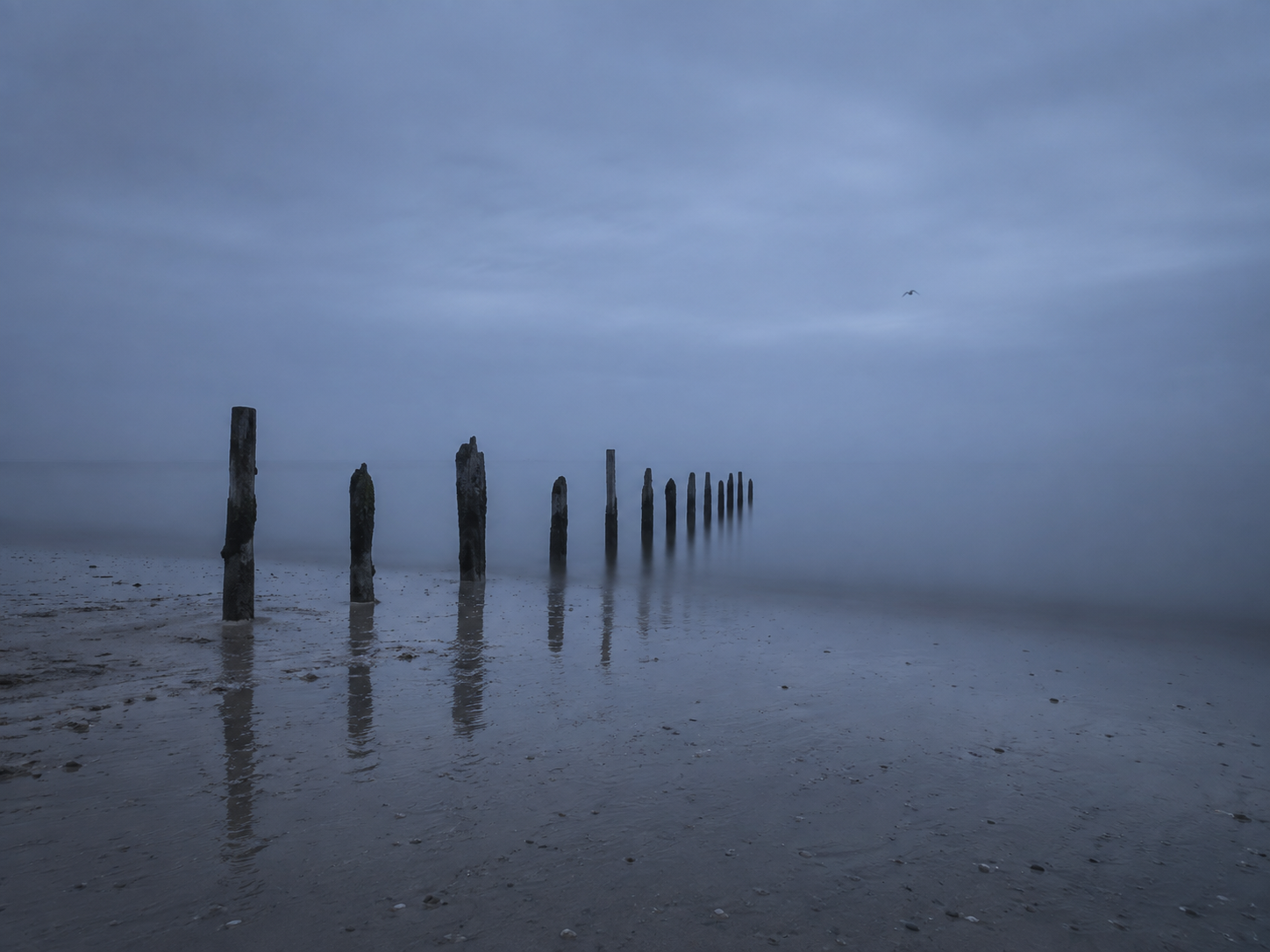Littoral brumeux au crépuscule